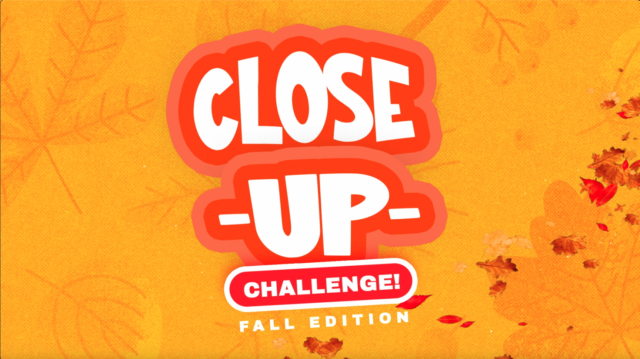 Closeup Challenge: Fall Edition